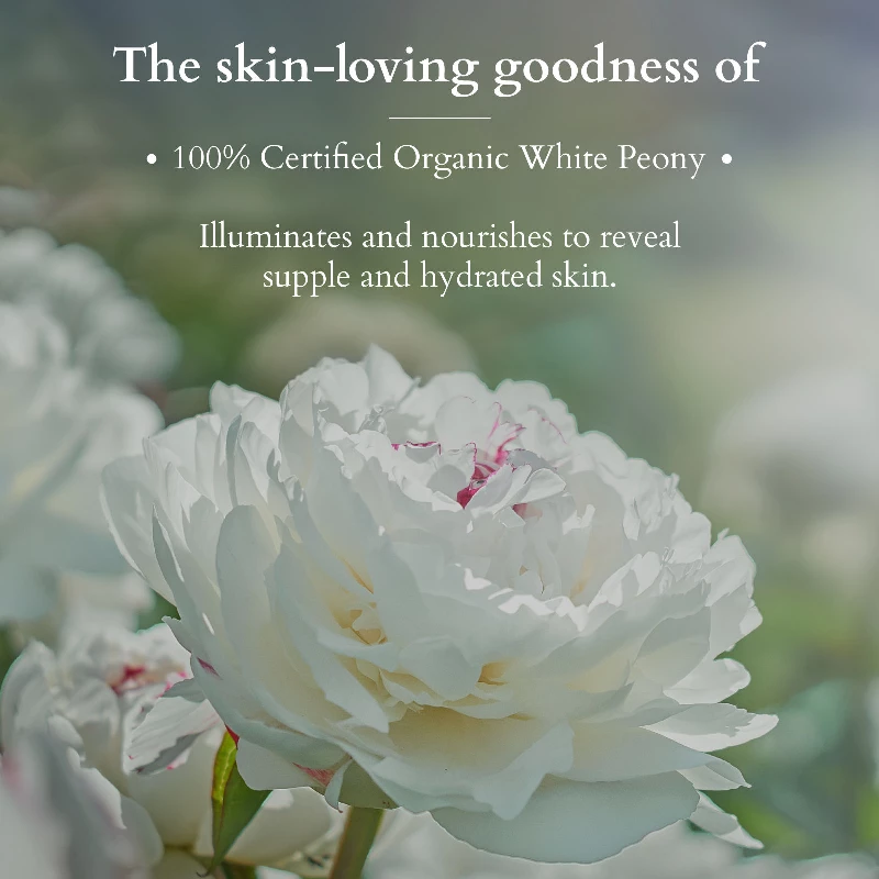 Lotus Organics Precious Brightening Creme SPF 20, 50 g-3.webp